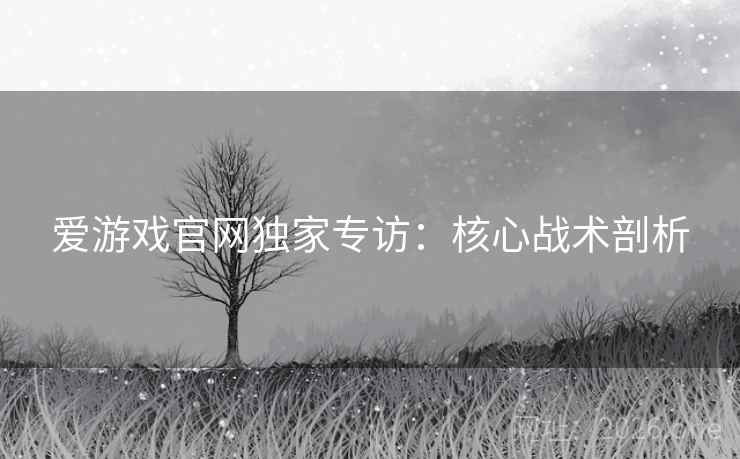 爱游戏官网独家专访：核心战术剖析